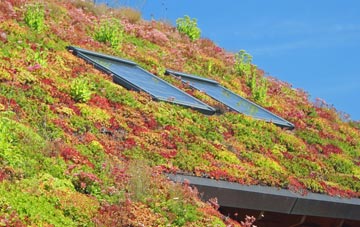 Covenham St Bartholomew living roof systems