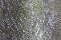 Covenham St Bartholomew fibreglass roof work